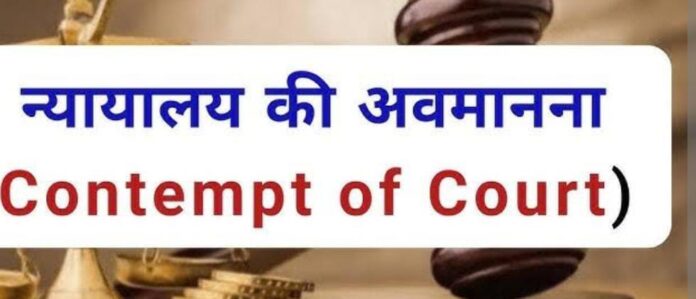 WhatsApp Image 2025-05-04 at 18.24.44_dc8e89c7